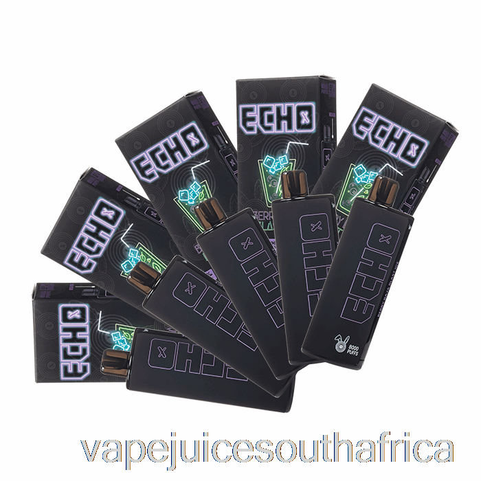 Vape Juice South Africa [10-Pack] Echo 8000 Disposable